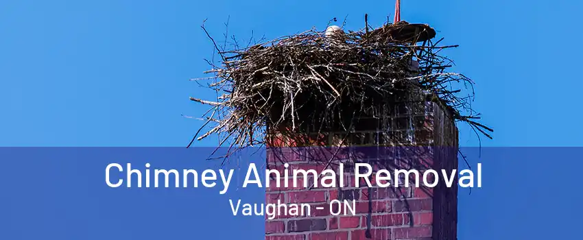 Chimney Animal Removal Vaughan - ON