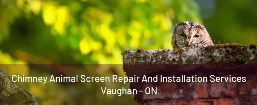 Chimney Animal Screen Repair And Installation Services Vaughan - ON