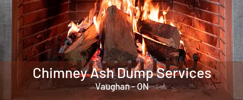 Chimney Ash Dump Services Vaughan - ON