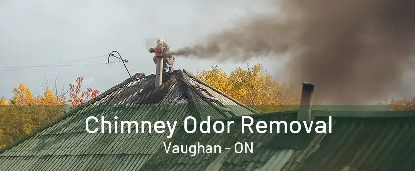 Chimney Odor Removal Vaughan - ON