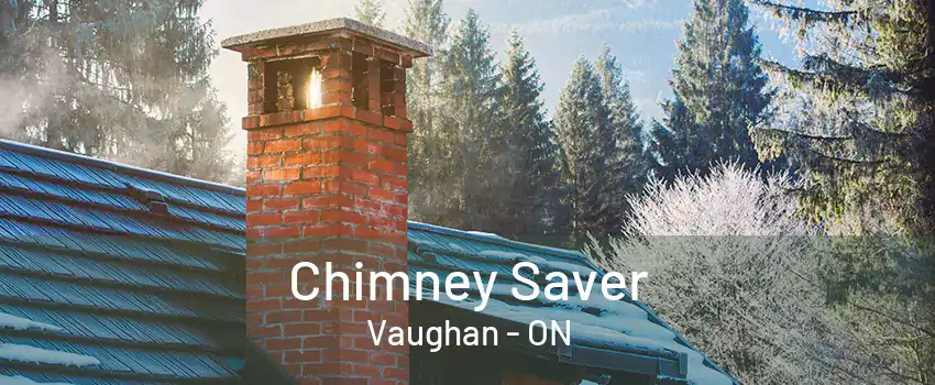 Chimney Saver Vaughan - ON