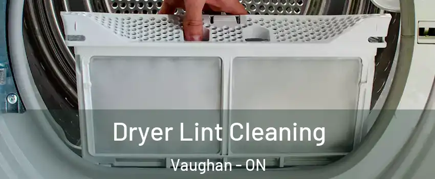 Dryer Lint Cleaning Vaughan - ON