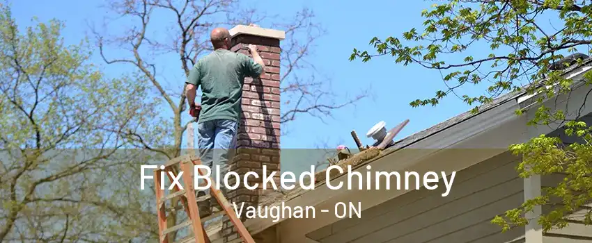 Fix Blocked Chimney Vaughan - ON