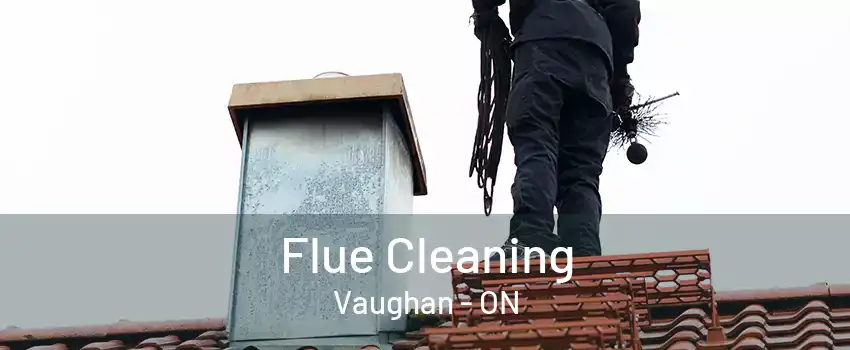 Flue Cleaning Vaughan - ON