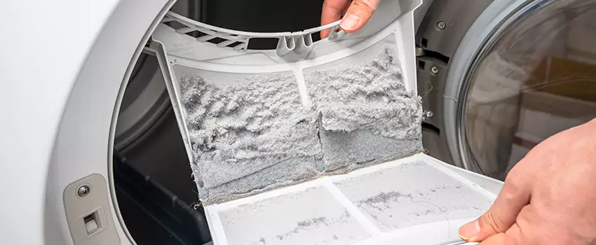 Best Dryer Lint Removal Company in Vaughan, Ontario